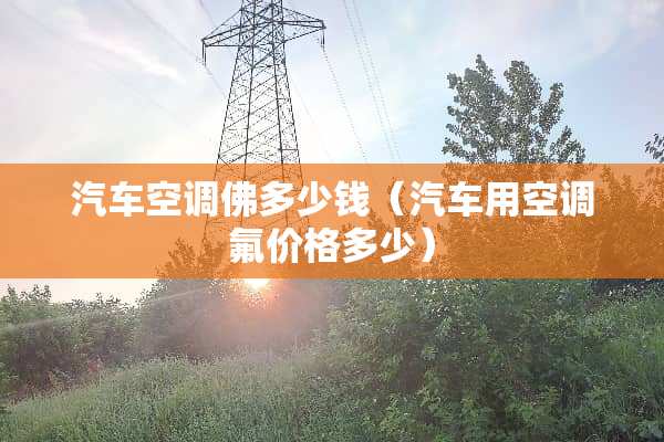 汽车空调佛多少钱（汽车用空调氟价格多少）