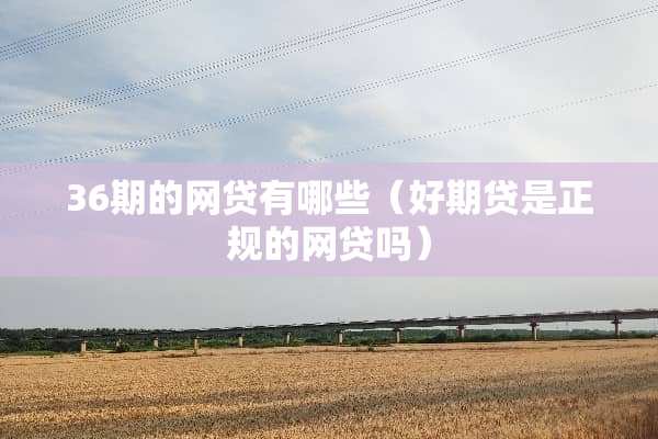 36期的**有哪些（好期贷是正规的**吗）