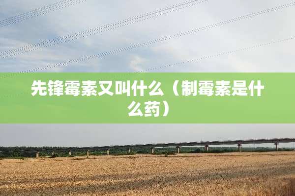 先锋霉素又叫什么（制霉素是什么药）