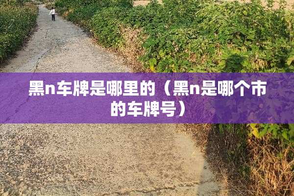 黑n车牌是哪里的（黑n是哪个市的***）
