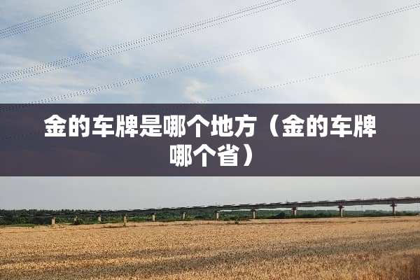 金的车牌是哪个地方（金的车牌哪个省）