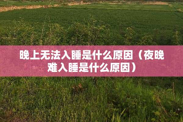 晚上无法入睡是什么原因（夜晚难入睡是什么原因）