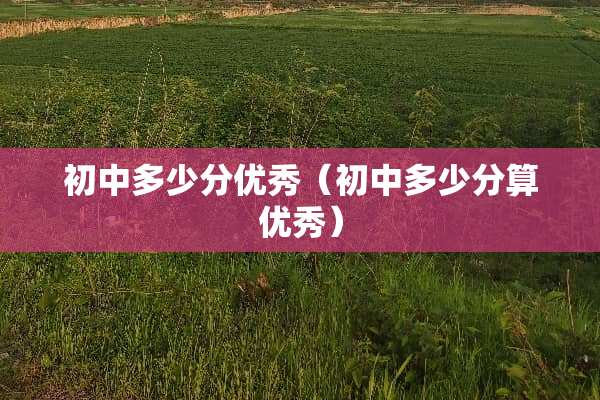初中多少分优秀（初中多少分算优秀）