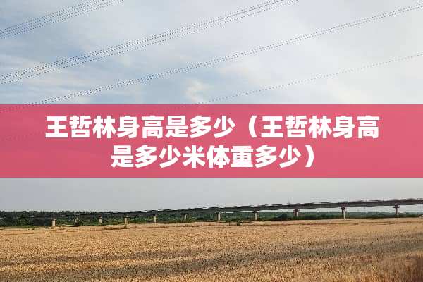 王哲林身高是多少（王哲林身高是多少米体重多少）