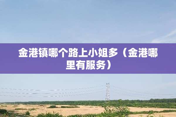 金港镇哪个路上小姐多（金港哪里有服务）