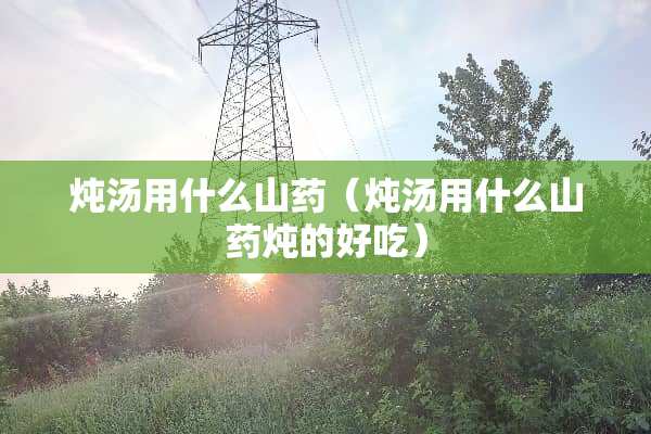 炖汤用什么山药（炖汤用什么山药炖的好吃）