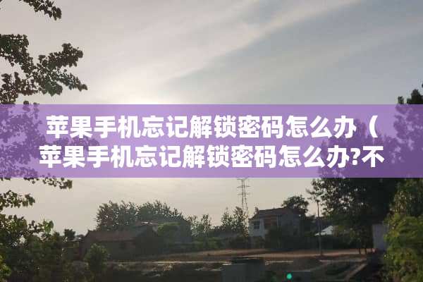 苹果手机忘记解锁密码怎么办（苹果手机忘记解锁密码怎么办?不刷机）