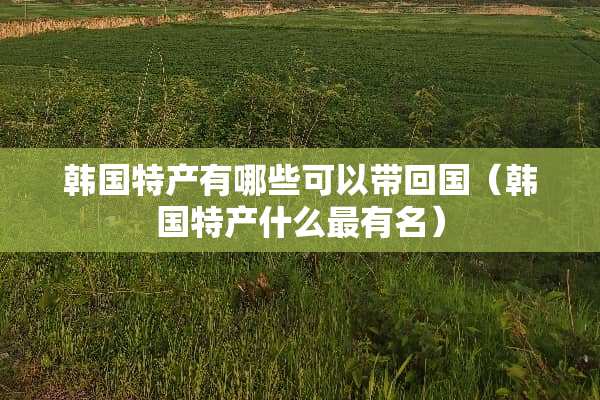 韩国特产有哪些可以带回国（韩国特产什么最有名）