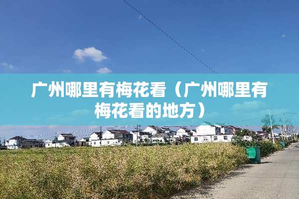 广州哪里有梅花看（广州哪里有梅花看的地方）