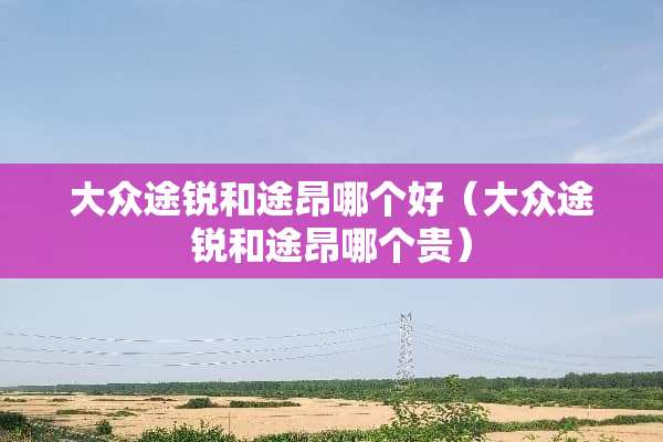 大众途锐和途昂哪个好（大众途锐和途昂哪个贵）