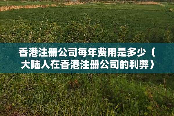 香港注册公司每年费用是多少（**人在香港注册公司的利弊）