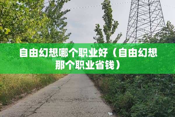 自由幻想哪个职业好（自由幻想那个职业省钱）