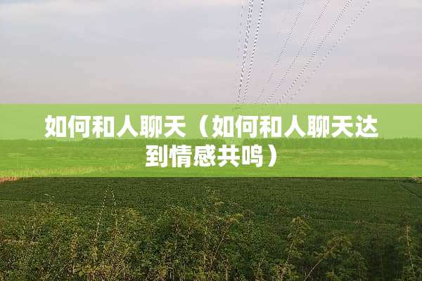 如何和人聊天（如何和人聊天达到情感共鸣）