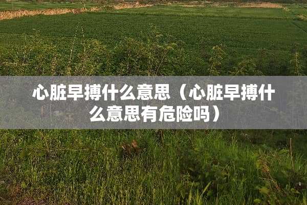 心脏早搏什么意思（心脏早搏什么意思有危险吗）