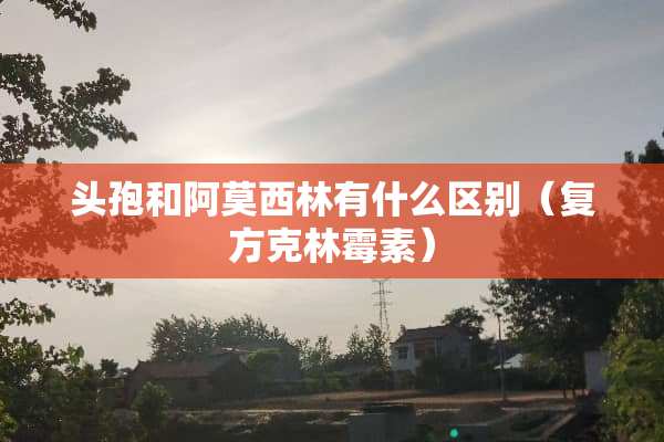 头孢和阿莫西林有什么区别（复方克林霉素）