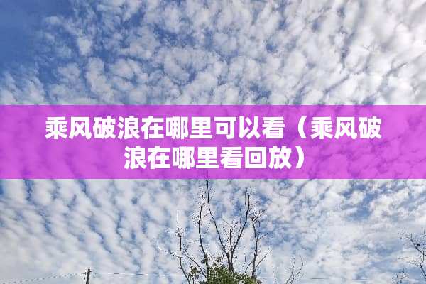 乘风破浪在哪里可以看（乘风破浪在哪里看回放）