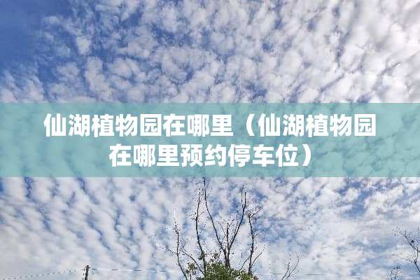 仙湖植物园在哪里（仙湖植物园在哪里预约停车位）