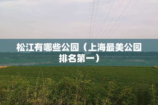 松江有哪些公园（上海最美公园排名第一）