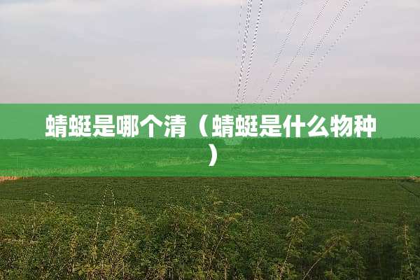蜻蜓是哪个清（蜻蜓是什么物种）