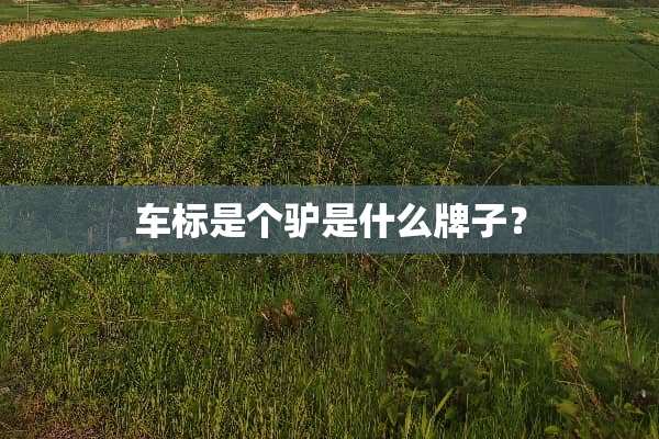 车标是个驴是什么牌子？
