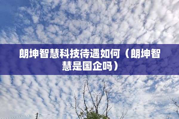 朗坤智慧科技待遇如何（朗坤智慧是国企吗）