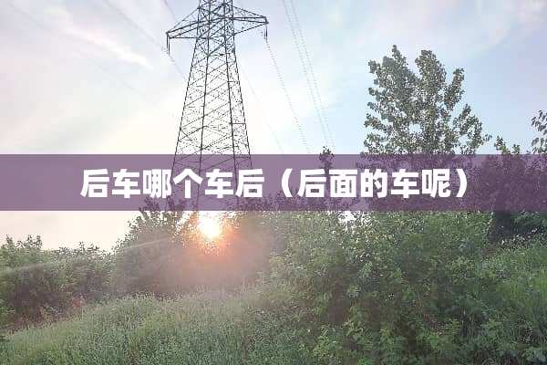 后车哪个车后（后面的车呢）