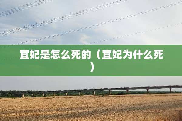 宜妃是怎么死的（宜妃为什么死）