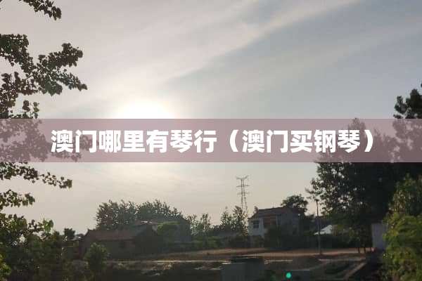 **哪里有琴行（**买钢琴）