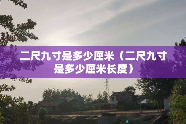 二尺九寸是多少厘米（二尺九寸是多少厘米长度）