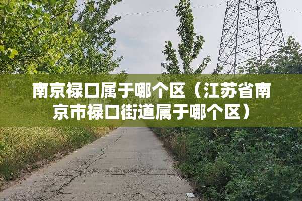 南京禄口属于哪个区（江苏省南京市禄口街道属于哪个区）