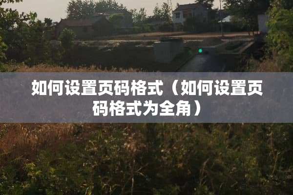如何设置页码格式（如何设置页码格式为全角）