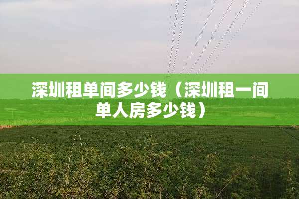 深圳租单间多少钱（深圳租一间单人房多少钱）
