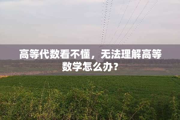 高等代数看不懂，无法理解高等数学怎么办？