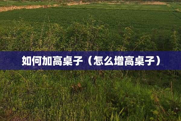如何加高桌子（怎么增高桌子）