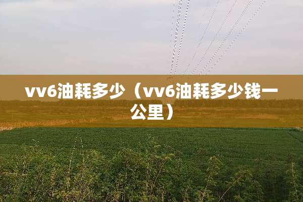 vv6油耗多少（vv6油耗多少钱一公里）