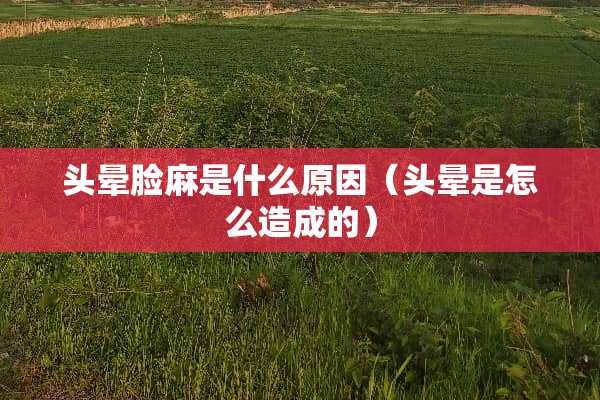 头晕脸麻是什么原因（头晕是怎么造成的）