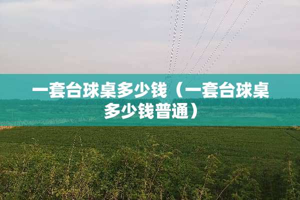 一套台球桌多少钱（一套台球桌多少钱普通）