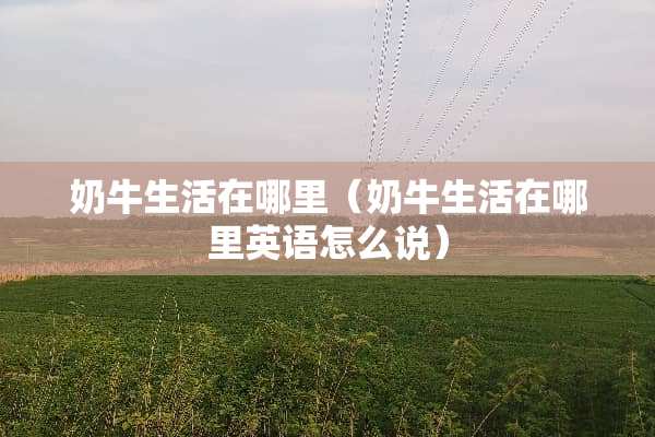 奶牛生活在哪里（奶牛生活在哪里英语怎么说）