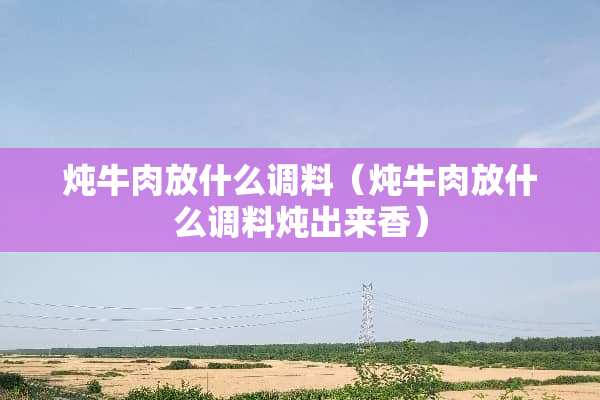 炖牛肉放什么调料（炖牛肉放什么调料炖出来香）
