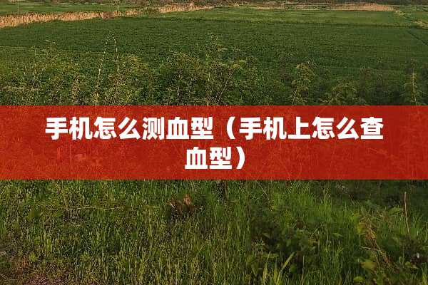 手机怎么测血型（手机上怎么查血型）