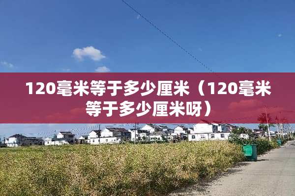 120毫米等于多少厘米（120毫米等于多少厘米呀）