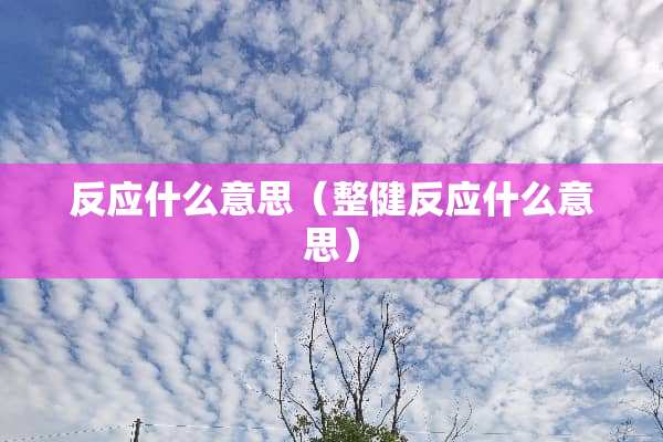 反应什么意思（整健反应什么意思）
