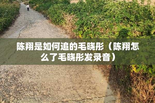陈翔是如何追的毛晓彤（陈翔怎么了毛晓彤发录音）