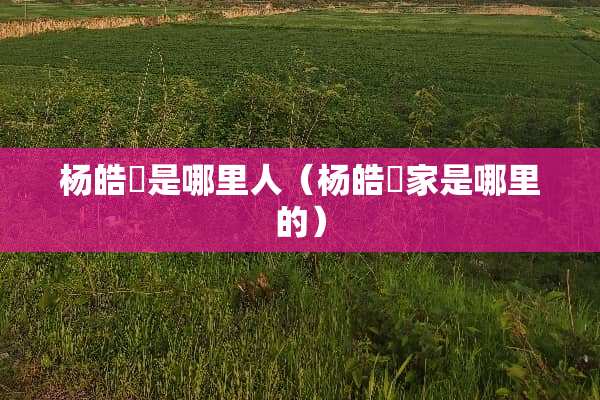 杨皓喆是哪里人（杨皓喆家是哪里的）
