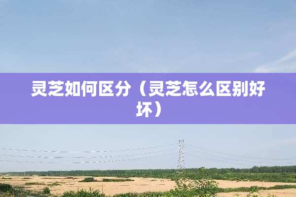 灵芝如何区分（灵芝怎么区别好坏）