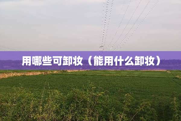 用哪些可卸妆（能用什么卸妆）