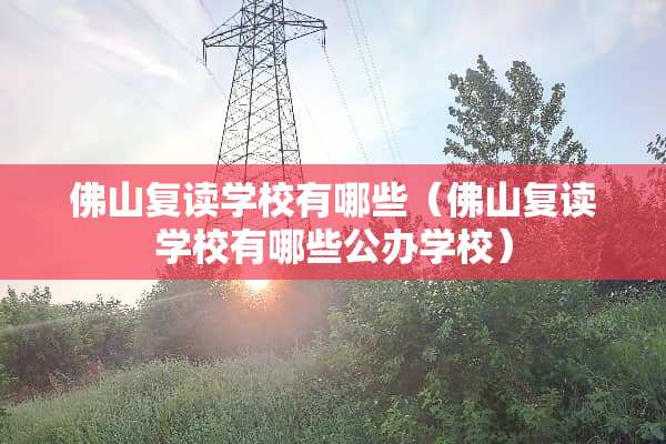 佛山复读学校有哪些（佛山复读学校有哪些公办学校）
