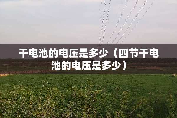 干电池的电压是多少（四节干电池的电压是多少）