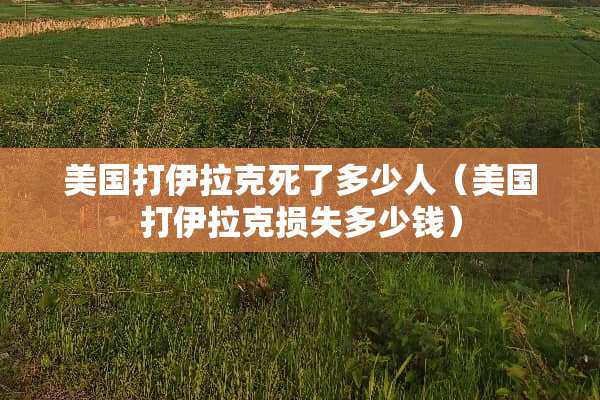 美国打伊拉克死了多少人（美国打伊拉克损失多少钱）