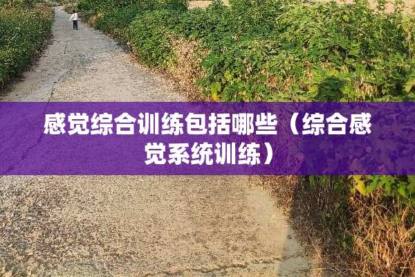 感觉综合训练包括哪些（综合感觉系统训练）